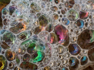 P5038592a.jpg